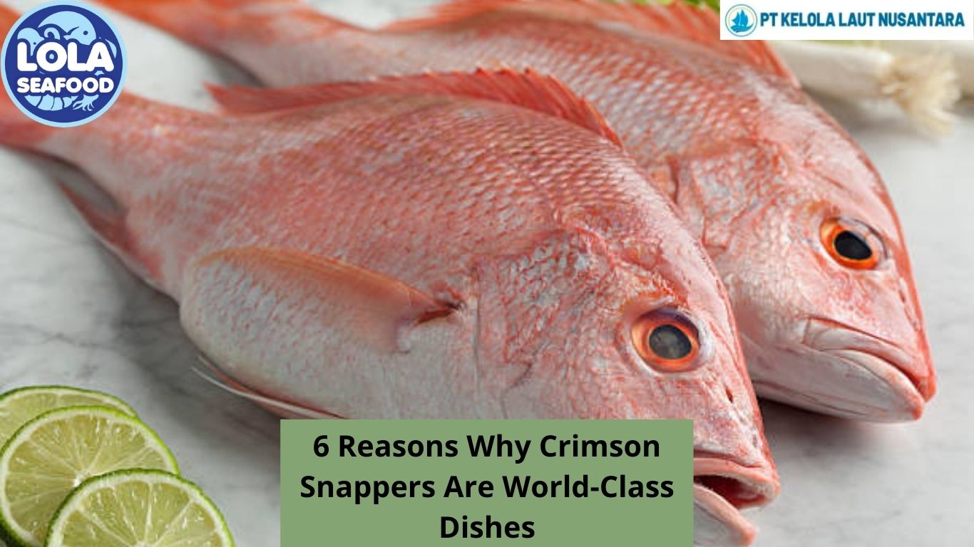 6 Reasons Why Crimson Snappers Are World-Class Dishes